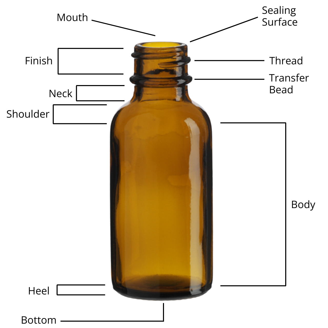 Bottle Anatomy